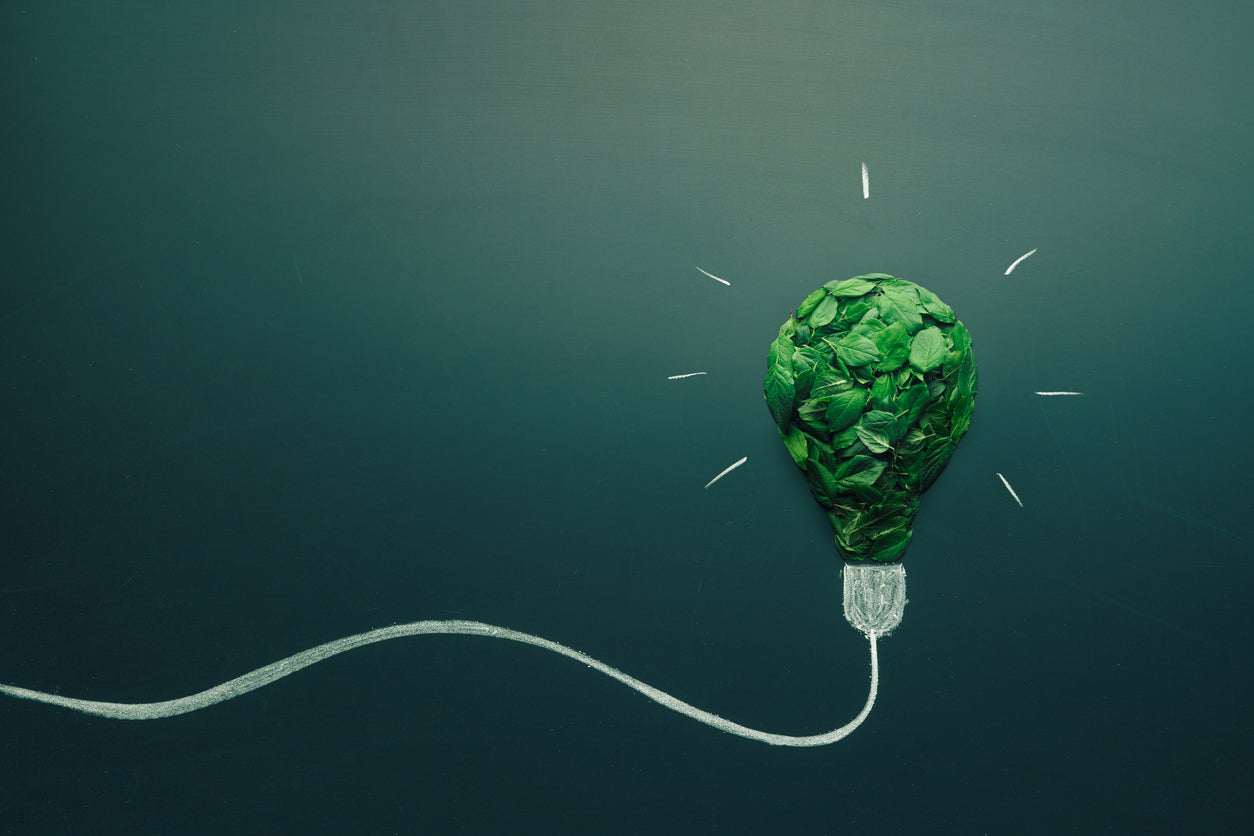 Consumer Connection and Education