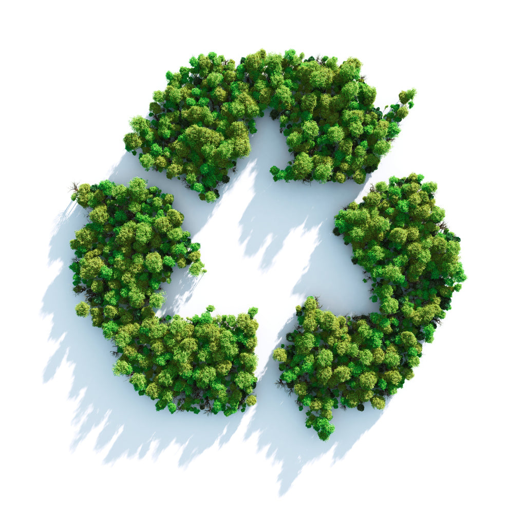 Waste Reduction and Recycling